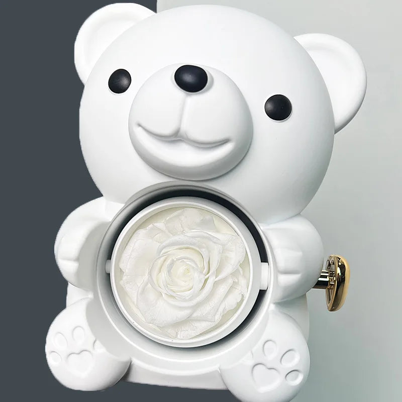 Beautifull Plastic Teddy Bear Gift & Display Box