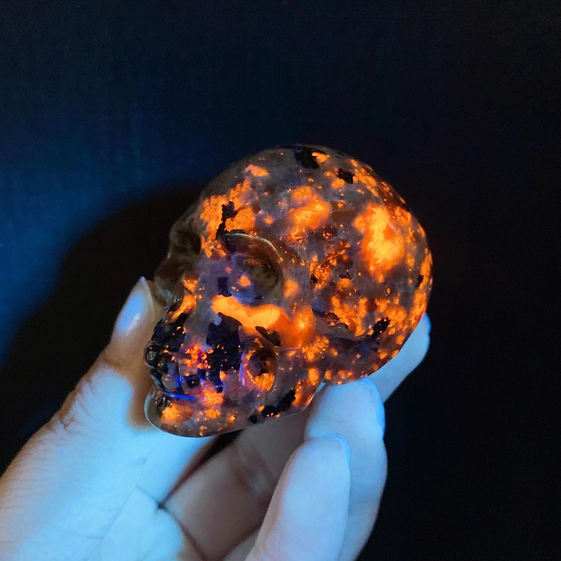 Natural Yooperlite Skull Statue - Fluorescence Under UV Light