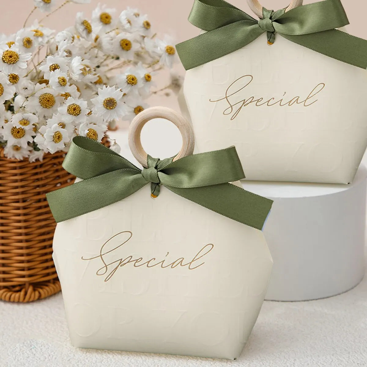 5CPS Elegant Gift Packaging Bags