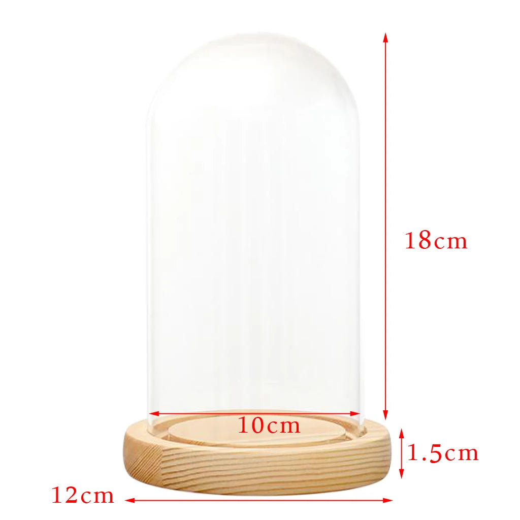 Display Glass Dome Wooden Base With LED Lightup The Beast Red Rose Birthday/Valentine's Gifts Bedroom Table Decoration Carft