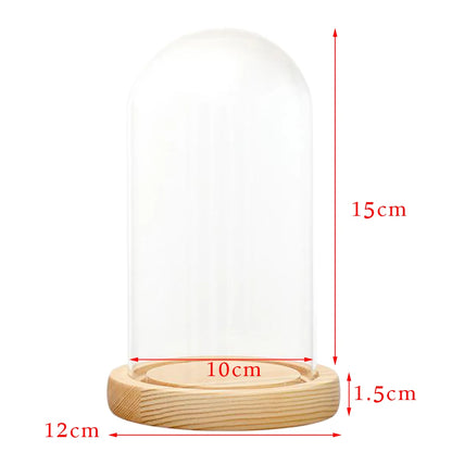 Display Glass Dome Wooden Base With LED Lightup The Beast Red Rose Birthday/Valentine's Gifts Bedroom Table Decoration Carft